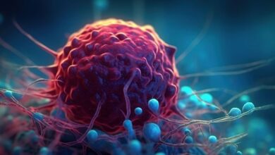 40000سرطان قابل پیشگیری است/سیگار علت عمده سرطان در ایران