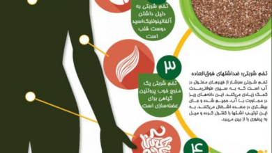 ۲ دلایل خوبی برای مصرف تخم مرغ