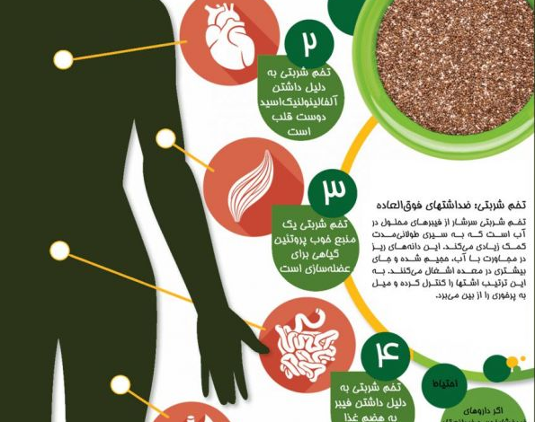 ۲ دلایل خوبی برای مصرف تخم مرغ