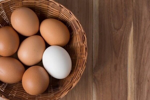 به همین دلیل تخم مرغ بخورید