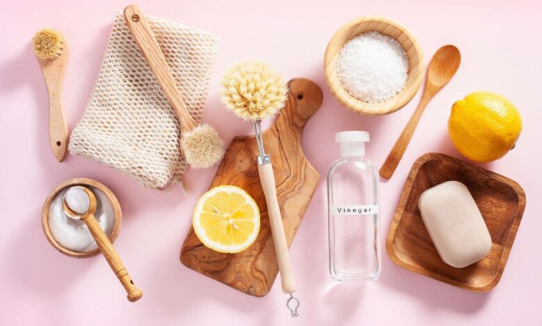 خانه با مواد طبیعی و ارگانیک/ اگر به مواد شیمیایی شیمیایی حساسیت دارید ...