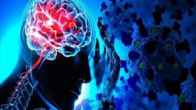 عامل خستگی مزمن در بیماران تاج - آژانس خبری مهر | اخبار ایرانی و جهانی