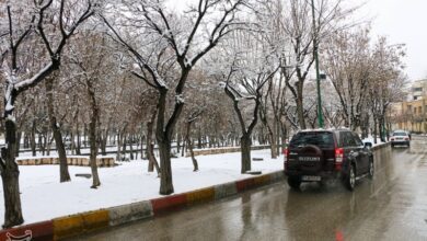 هشدار وزارت بهداشت در مورد سرمای‌هوا