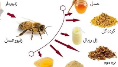 کمک به درمان 7 بیماری‌ صعب‌العلاج با &quot;عسل و مشتقات آن&quot;