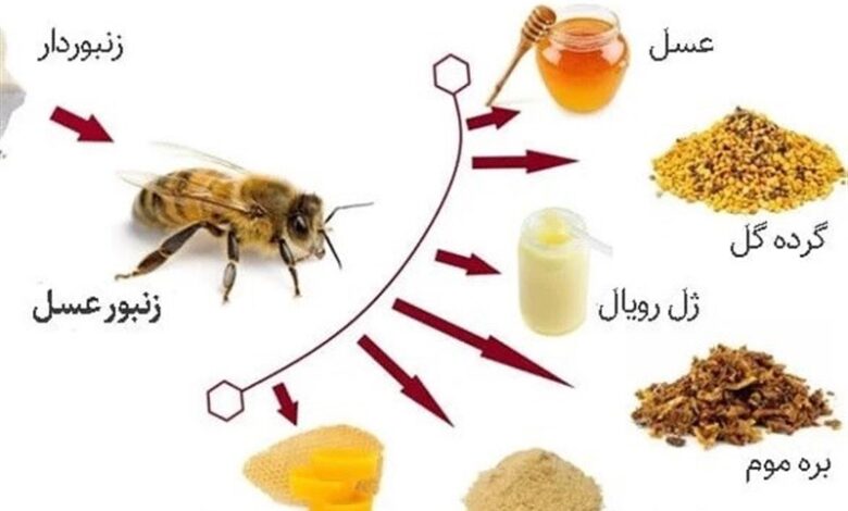 کمک به درمان 7 بیماری صعبالعلاج با "عسل و مشتقات آن"