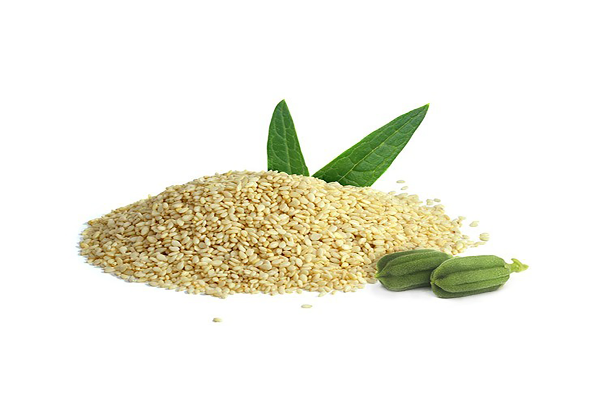 خصوصیات اصلی بدن سازی چیست؟