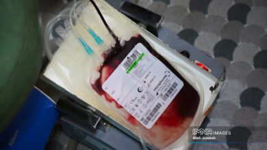 Kohgiluyeh و Boyer احمد و سیستان و بلوچستان در این کشور در رده های اول و دوم قرار گرفتند