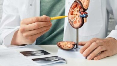 این رژیم خطر سنگ کلیه را افزایش می دهد