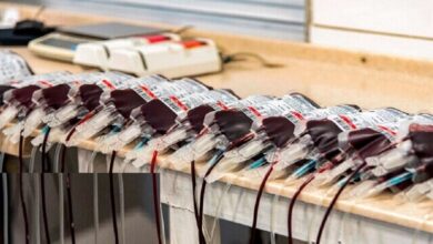 شرایط ذخایر خون برخی از گروه ها بسیار مهم شد - آژانس خبری مهر | اخبار ایرانی و جهانی