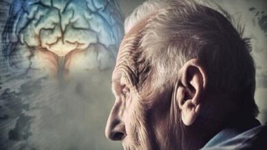 مغز هم پیر می شود؟