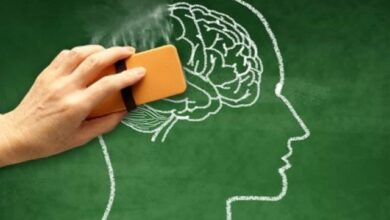 با این روش ها از انقباض مغز جلوگیری می کند