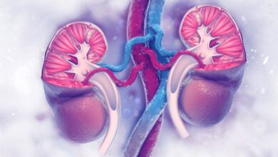 چگونه احتمال بیماری مزمن کلیه را کاهش دهیم؟