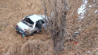 5 ٪ از افراد در یک تصادف زیر 5 سال هستند