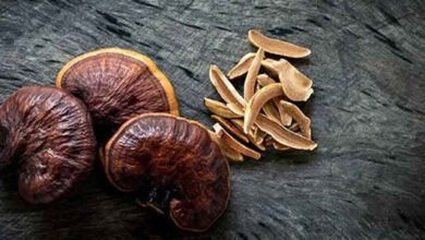 آیا قارچ می تواند جایگزین انسولین و داروهای کم مصرف گلوکز شود؟