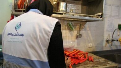 بازرسی های نوروز ضبط شده ؛ بیش از یک میلیون دیدگاه بهداشتی - آژانس خبری مهر | اخبار ایرانی و جهانی