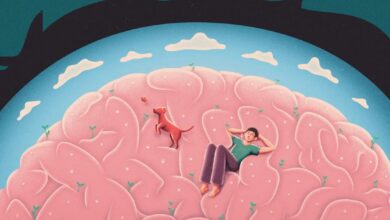 استرس مغز چیست؟