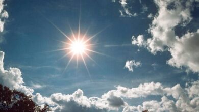 بیش از 5 ٪ از آسیب های پوستی در دوران کودکی