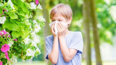 غذاهایی که آلرژی بهار را کاهش می دهند