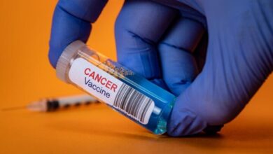 با مصرف این غذا سرطان را کاهش دهید