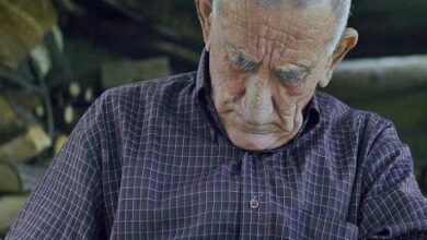 هشدار نماد هشدار در سالمندان - آژانس خبری مهر | اخبار ایرانی و جهانی