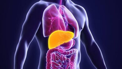 چربی هایی که برای بیماران مبتلا به کبد چرب مفید هستند