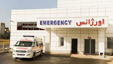 به 3 میلیون نفر در نوروز مراجعه کنید.