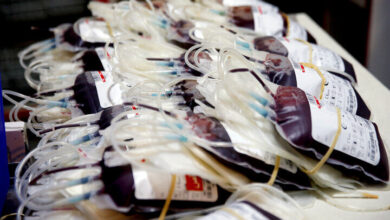 یزد در راه تبدیل شدن به مرکز انتقال خون جنوب شرقی و مرکزی است - آژانس خبری مهر | اخبار ایرانی و جهانی