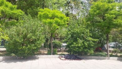 بیمارستان ، وزارت بهداشت ، بهداشت ، سیستم بهداشتی ،