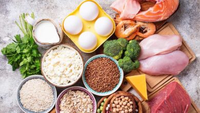 اصول غذایی مناسب ؛ خط مقدم سلامتی و پویایی