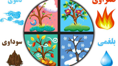 نسخه طب سنتی برای مهار آلرژی بهار/ کدام خلق و خوی بیشتر حساسیت دارند؟