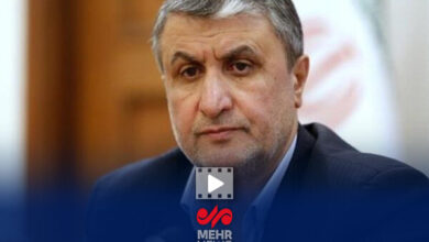 تعداد رادیوها از کشور عبور کرده است