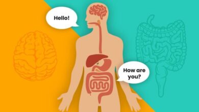 روده مغز دوم شما ؛ میکروب های روده چگونه بر سلامت ما تأثیر می گذارند؟