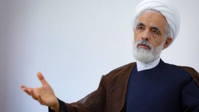 انصاری: ما هنوز در زمینه سلامت به نقطه مطلوب نرسیده ایم - آژانس خبری مهر | اخبار ایرانی و جهانی