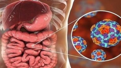 شیوع نورو ویروس 3 نفر در ژاپن - آژانس خبری مهر | اخبار ایرانی و جهانی