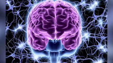 اشتباهات روزانه که مغز شما را ۱۰ سال پیرتر می‌کند!