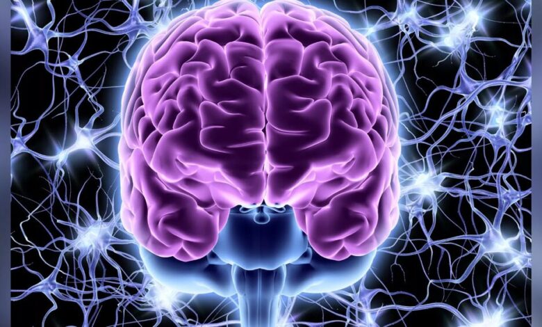 اشتباهات روزانه که مغز شما را ۱۰ سال پیرتر می‌کند!