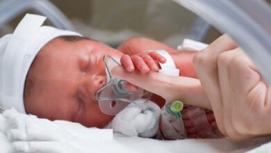 شارژ و تجدید استفاده از یک هفته استفاده از اعتبار مواد غذایی و بهداشتی یاسنا