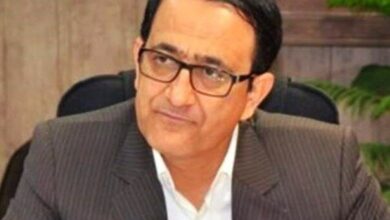 اطلاعیه جزئیات بیمه کار رایگان در استان تهران - آژانس خبری مهر | اخبار ایرانی و جهانی