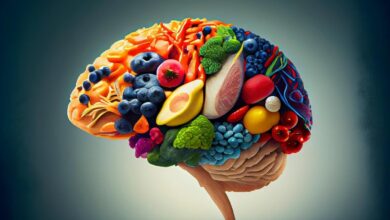 دفتر سریع عملکرد مغز را مختل می کند - آژانس خبری مهر | اخبار ایرانی و جهانی