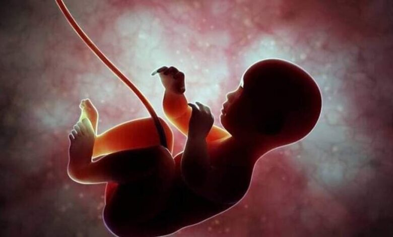 نقش تغذیه والدین در سلامت جنین از منظر طب ایرانی