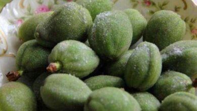 غذای باستانی ؛ بادام کوکو کوکو - آژانس خبری مهر | اخبار ایرانی و جهانی