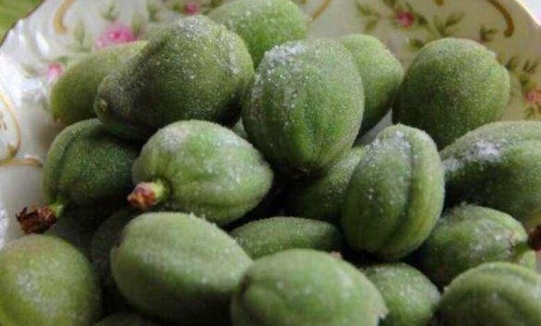 غذای باستانی ؛ بادام کوکو کوکو - آژانس خبری مهر | اخبار ایرانی و جهانی