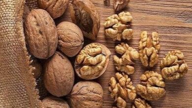 یک ملک گردو که کمتر در مورد آن شنیده اید