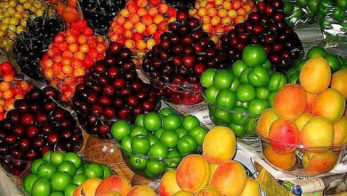 مصرف این میوه کلسترول را کاهش می دهد