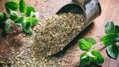 کنترل فشار خون با مصرف این داروی گیاهی