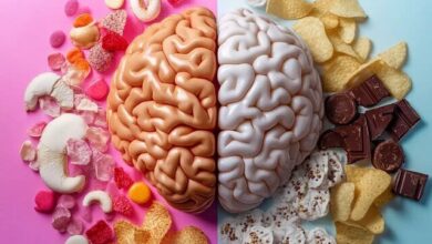 غذاهای عالی برای ذهن های تیز و خلاق/ سوپر. راز تقویت حافظه