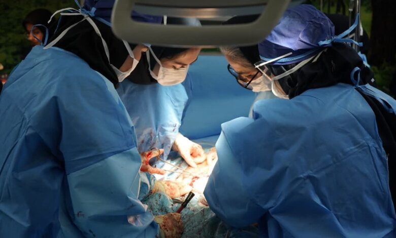 راهنمای خدمات مامایی و زایمان - اطلاع رسانی - خبرگزاری مهر | اخبار ایرانی و جهانی