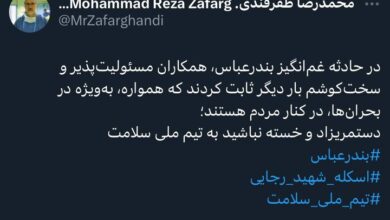 وزیر بهداشت از تلاش تیم بهداشت در پی حادثه بندر عباس قدردانی می کند