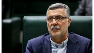 تلاش برای کنترل بیماری ها در مناطق مرزی - آژانس خبری مهر | اخبار ایرانی و جهانی