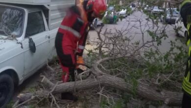 طوفان شدید در استان تهران 4 نفر را مجروح کرده است - آژانس خبری مهر | اخبار ایرانی و جهانی